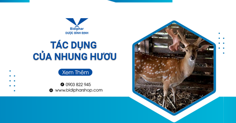 Top 8 Tác Dụng Của Nhung Hươu Với Sức Khỏe Người Dùng