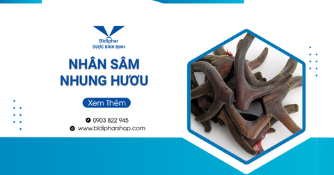 Nhân Sâm Nhung Hươu Là Gì? Tư Vấn Của Dược Sĩ Về Sản Phẩm Tốt Nhất.