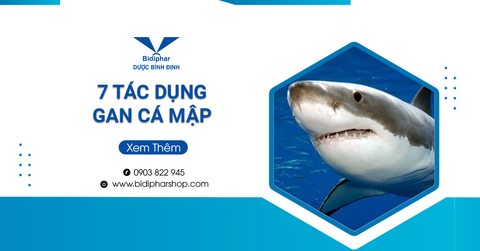 7 Tác Dụng Của Gan Cá Mập Không Phải Ai Cũng Biết Đến