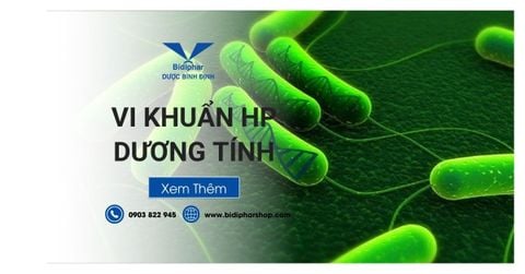 Góc Giải Đáp - Vi Khuẩn Hp Dương Tính Có Nguy Hiểm Không?