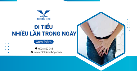 Nguyên Nhân Đi Tiểu Nhiều Lần Trong Ngày - Khi Nào Cần Lo Lắng?