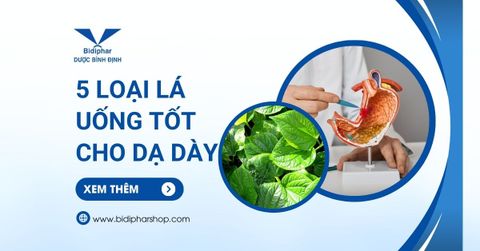 5 Loại Lá Uống Tốt Cho Dạ Dày Tốt Hơn Thuốc