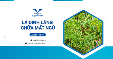 Dùng Lá Đinh Lăng Chữa Mất Ngủ Như Thế Nào?