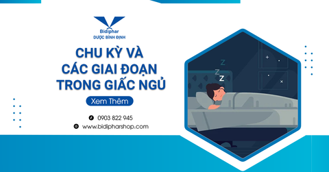 Khám Về Chu Kỳ Và Các Giai Đoạn Của Giấc Ngủ Trong Một Đêm