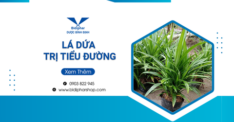 Lá Dứa Trị Tiểu Đường: Cách Dùng Và Lưu Ý Khi Sử Dụng