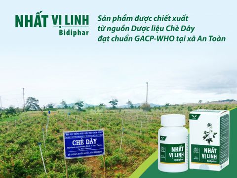 Bidiphar Đồng Hành Cùng Đồng Bào Bana Bảo Vệ Tài Nguyên Rừng, Phát Triển Kinh Tế