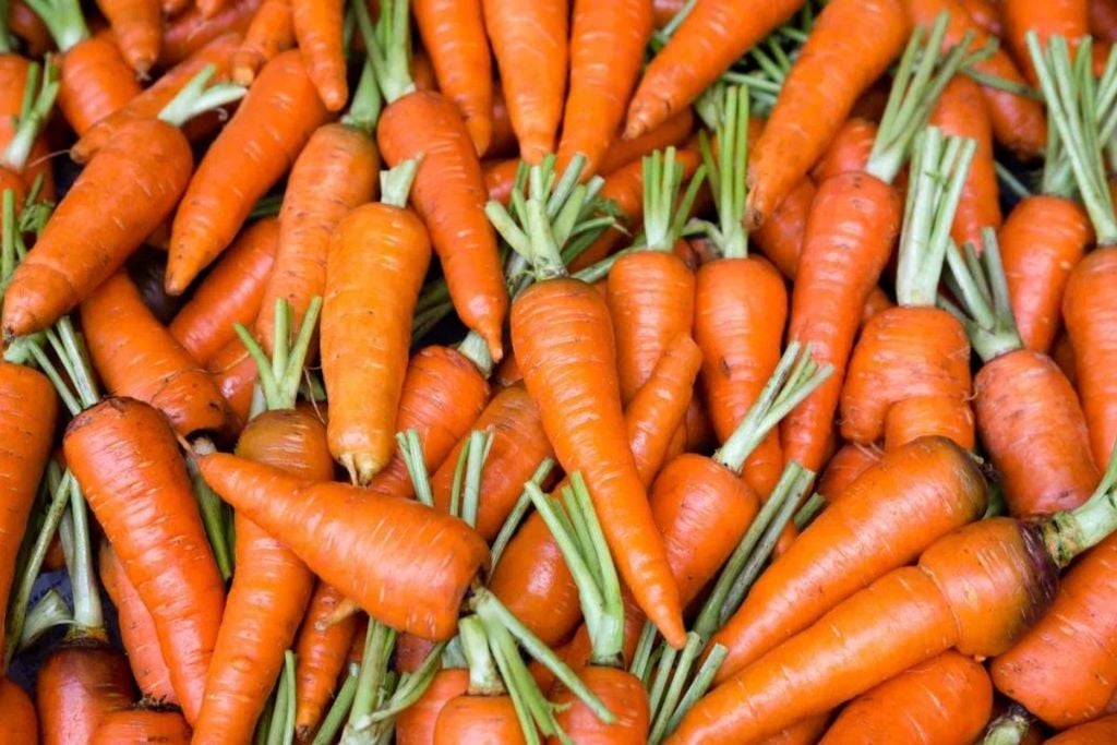 Cà rốt là thực phẩm có lợi cho mắt