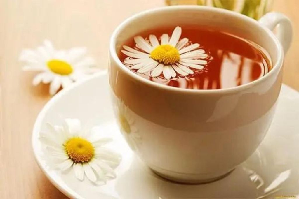 trà hoa cúc chữa viêm họng