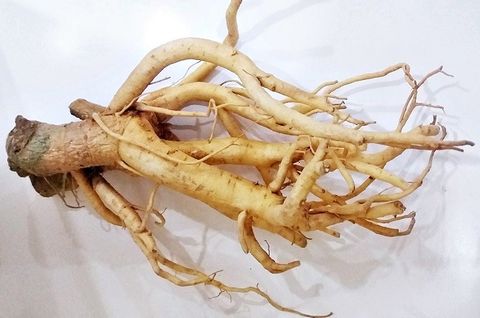 (suckhoedoisong.vn) - Những thảo dược giúp thanh nhiệt mát gan, phục hồi thể lực trong mùa hè nắng nóng