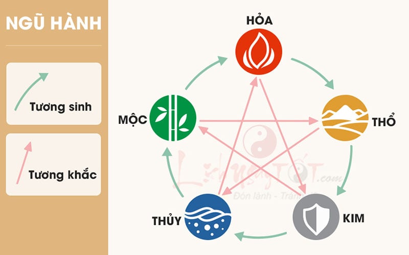 Lục phủ ngũ tạng và ngũ hành