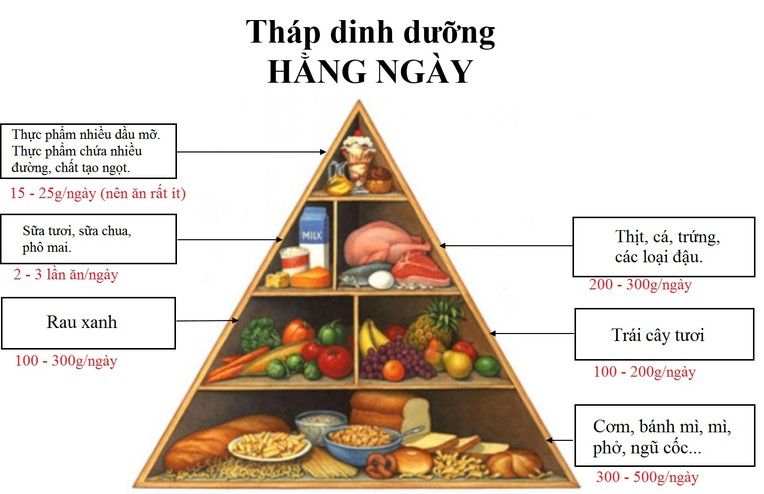 Thực đơn dinh dưỡng 7 ngày cho gia đình bạn