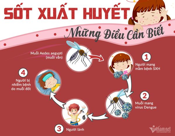 Bị sốt xuất huyết nên ăn gì