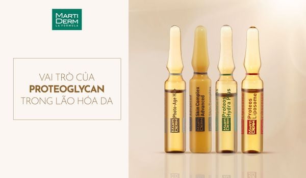 TỔNG QUAN VAI TRÒ CỦA PROTEOGLYCAN ĐỐI VỚI LÃO HÓA DA