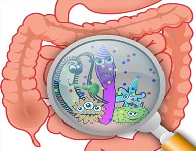 Mối liên hệ giữa hệ vi vật sinh đường ruột và bệnh tiêu chảy kéo dài