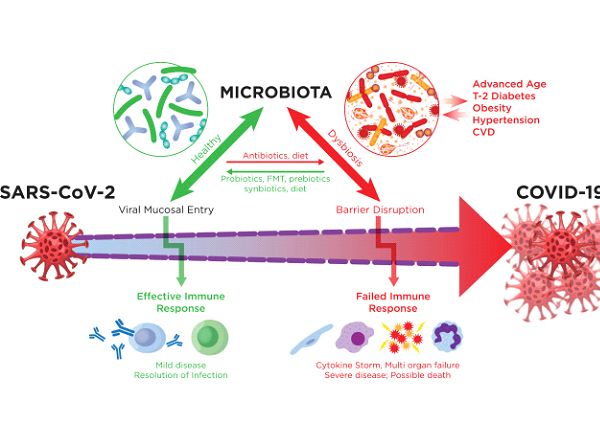 Vai trò của probiotic với nhiễm trùng hô hấp cấp tính do virus