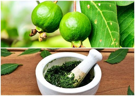 6 cách chữa tiêu chảy cấp tốc từ bài thuốc dân gian