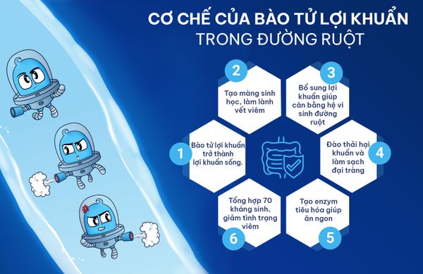 Bào tử lợi khuẩn là gì? Giúp ích gì cho sức khỏe con người