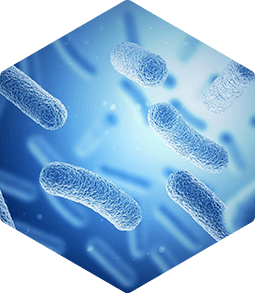 article-consultation_img