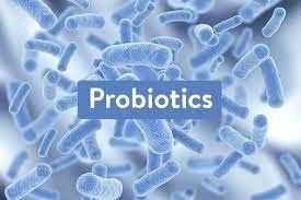 Probiotic là gì ? Tác động của probiotic đến cơ thể bạn như thế nào?