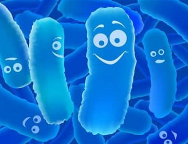 Tác dụng của men vi sinh đối với hệ tiêu hóa và hệ miễn dịch của trẻ như thế nào?