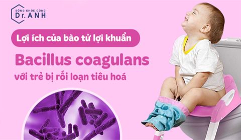 Lợi ích của bào tử lợi khuẩn Bacillus coagulans đối với trẻ bị rối loạn tiêu hóa