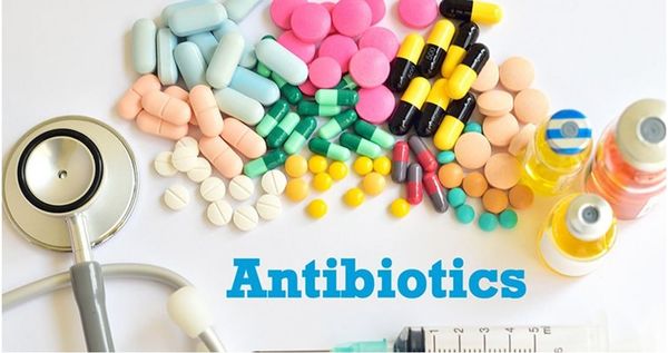 Kháng Sinh Có Thật Sự Hữu Dụng Với Viêm Xoang?