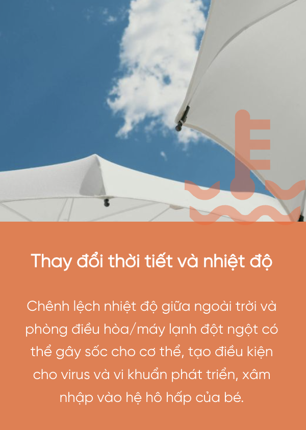 Ảnh 1
