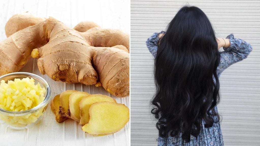 Có nên ủ tóc bằng gừng không? Những lợi ích của gừng đối với mái tóc có thể bạn chưa biết
