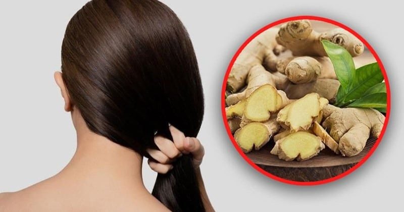 Tác dụng của gừng đối với tóc và da đầu là gì?