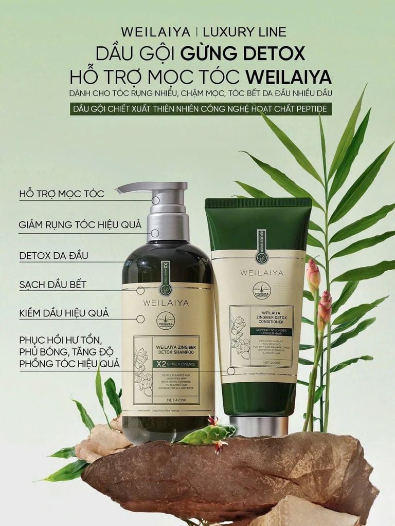 bo-dau-goi-gung-weilaiya-cho-toc-bet-dau