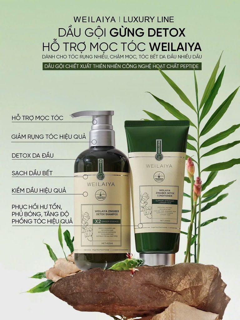 Bộ dầu gội gừng Weilaiya detox hỗ trợ mọc tóc