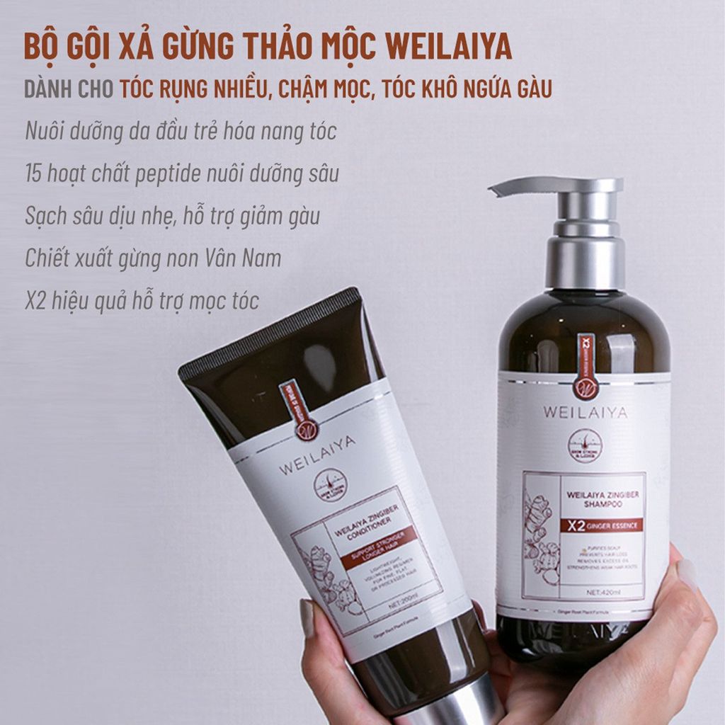 Bộ gội xả gừng thảo mộc Weilaiya dành cho tóc rụng nhiều, chậm mọc, tóc khô ngứa gàu