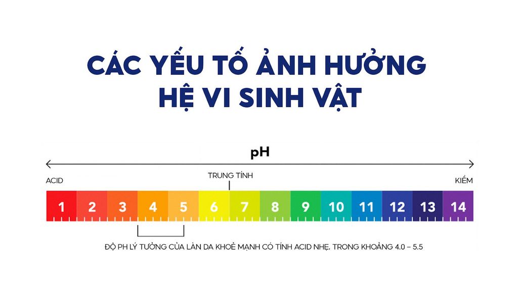 Mối liên hệ giữa độ pH và hệ vi sinh trên da