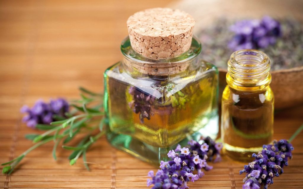 Mùi hương lavender giúp cơ thể và tinh thần thư giãn