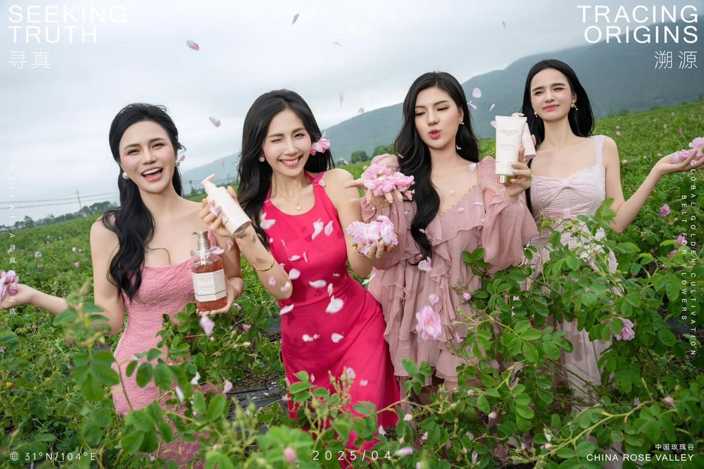 Hoa hồng damask được xem là “vàng lỏng thiên nhiên” báu vật cho làn da