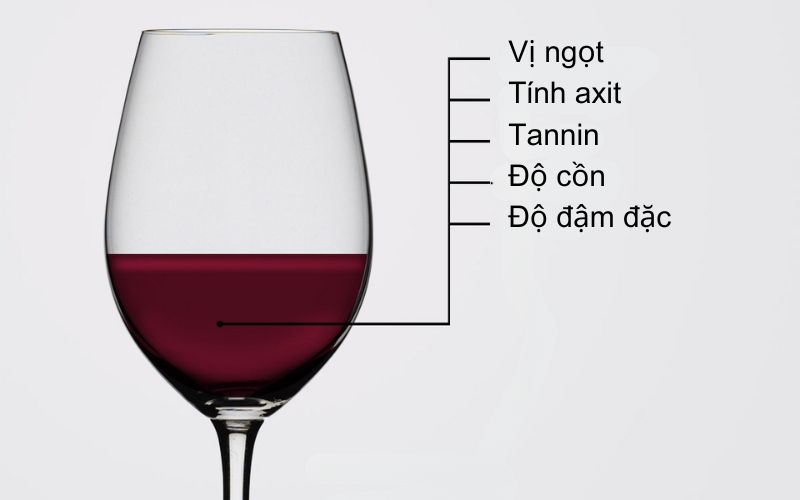 Các đặc tính cơ bản của rượu vang