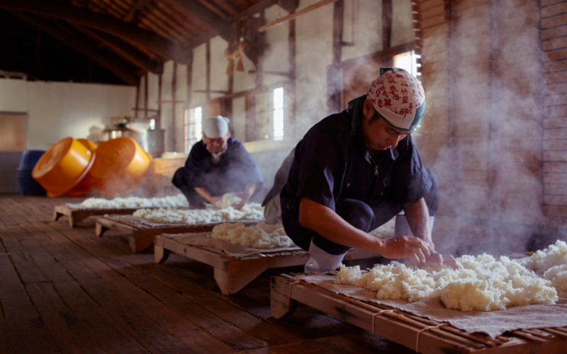 Rượu Sake được làm từ gì? Uống rượu Sake có tốt không?
