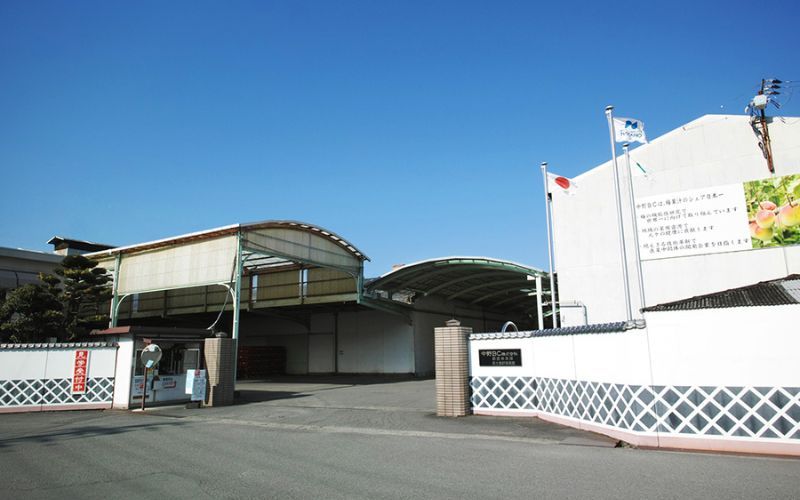 5 lý do tỉnh Wakayama nổi tiếng với rượu mơ Nhật Umeshu