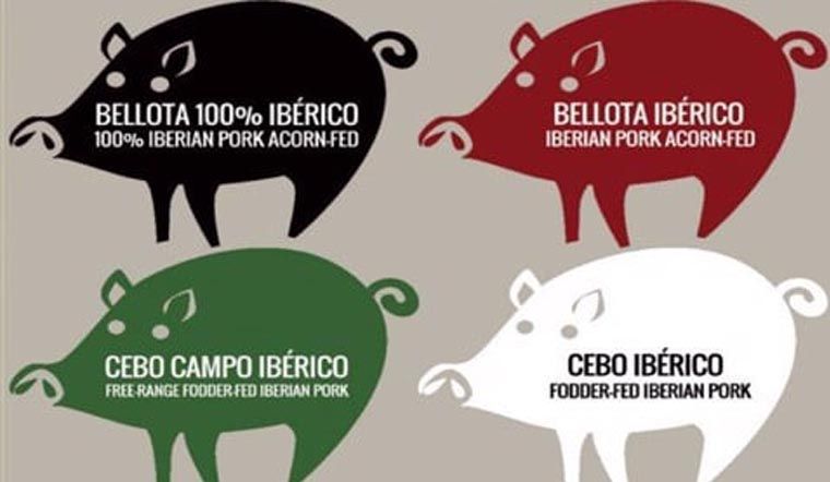 Phân biệt các loại thịt heo muối Iberico