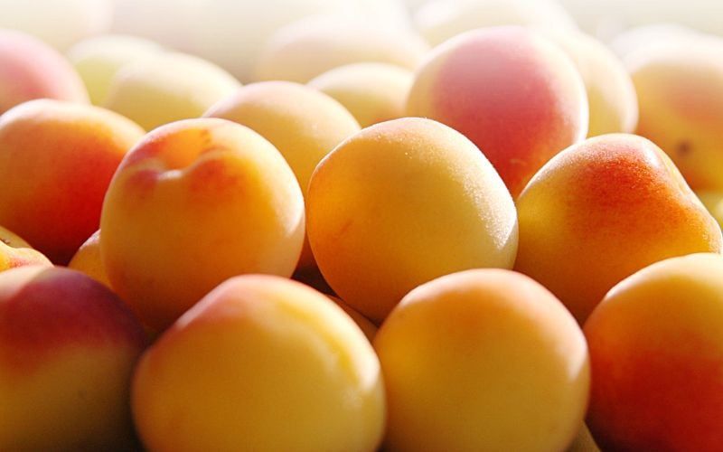 Giá trị dinh dưỡng từ những quả mơ trong chai rượu mơ Umeshu Nhật