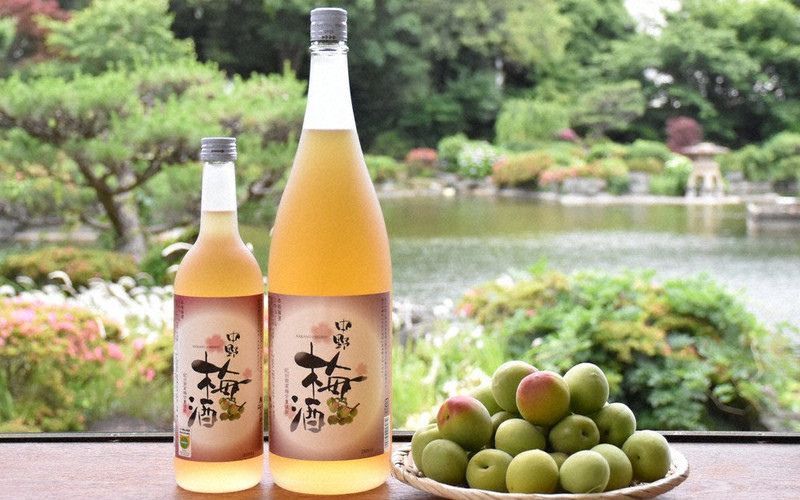 Rượu mơ Nhật nên uống vào thời gian nào? Cách uống rượu mơ hiệu quả