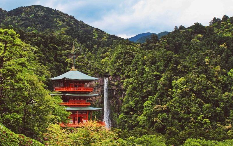 Khám phá 3 tỉnh nổi tiếng về rượu mơ tại Nhật Bản