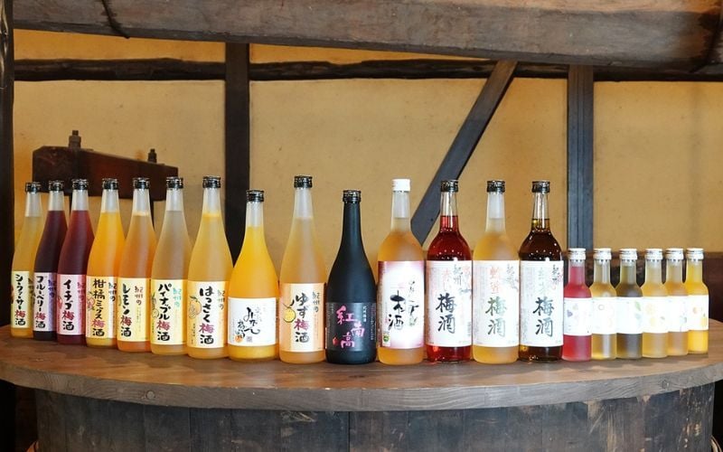 Tip chọn ly uống rượu mơ Nhật Umeshu chuẩn