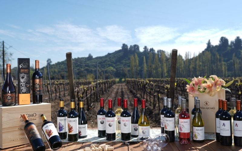 Khám phá những điều cần biết về rượu vang Chile