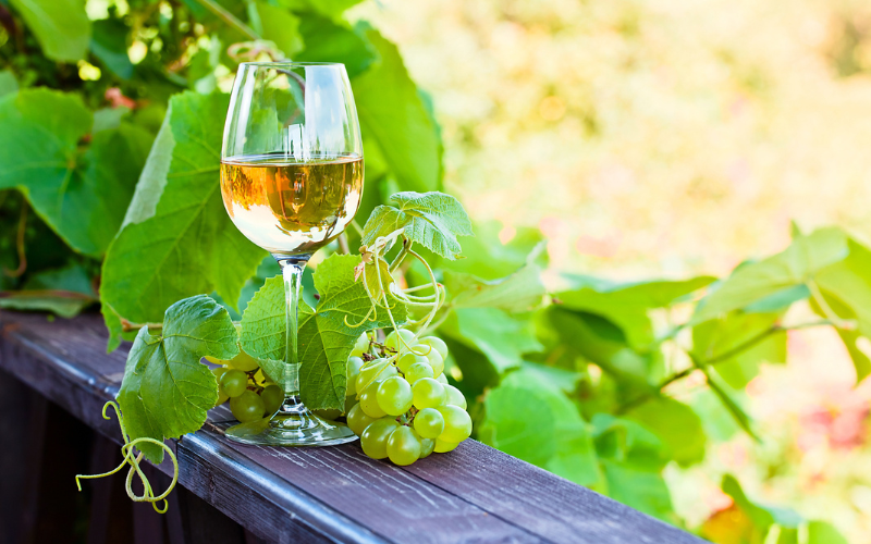 Mách bạn đánh bại cái nóng - chill out cùng rượu vang trắng