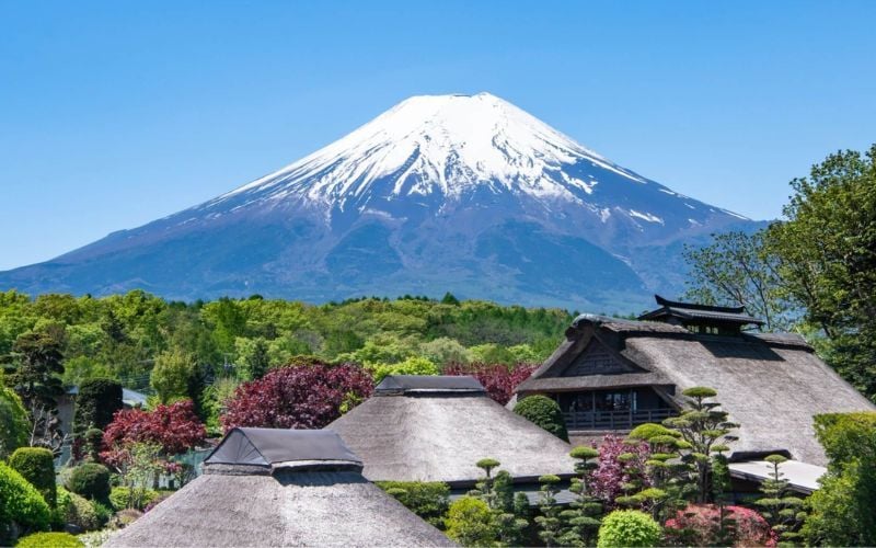 Món ăn và đồ uống của Nhật Bản nhất định phải thử vào mùa hè này