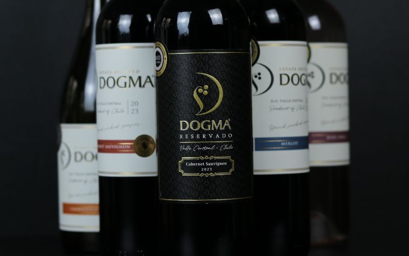 Rượu Vang Chile Dogma Được Yêu Thích Nhất Hiện Nay