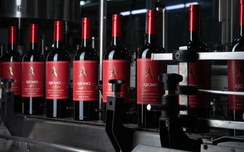 Vang Chile Biểu Tượng Mới Của Thế Giới Rượu Vang