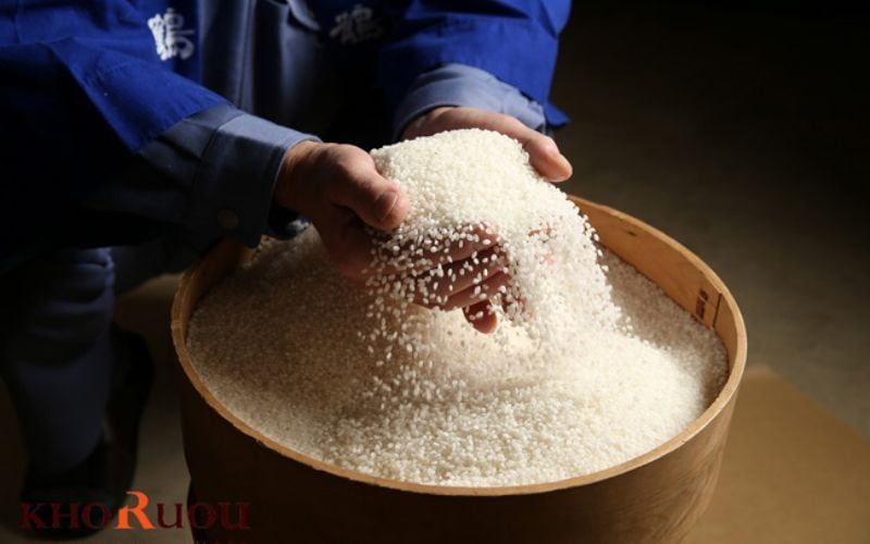 Khám phá các nhà máy sản xuất rượu sake lâu đời trên khắp Nhật Bản
