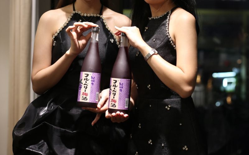 8 sự thật thú vị về Umeshu Nhật - Khám phá top 5 loại rượu mơ bán chạy 2024